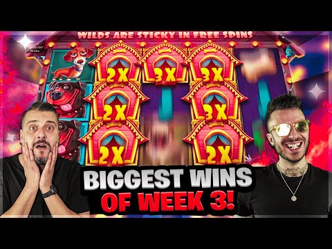 BIGGEST WINS OF WEEK 3! | Record win on DOG HOUSE online slots