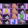 100 Cats slot – Mega win!