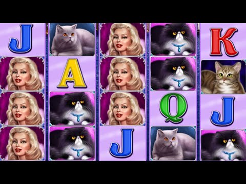 100 Cats slot – Mega win!