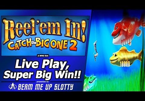 Reel Em In, Catch the Big One 2 Slot – LivePlay, Super Big Win! in Free Spins Fishing Bonus
