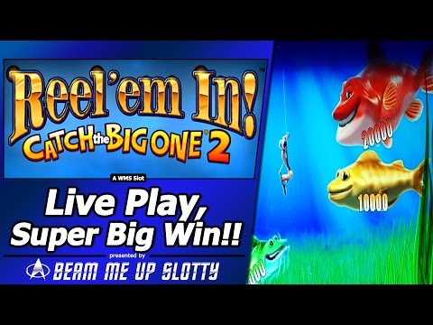 Reel Em In, Catch the Big One 2 Slot – LivePlay, Super Big Win! in Free Spins Fishing Bonus