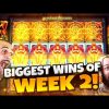 BIGGEST WINS OF WEEK 2! | Insanity Wins on Online Slots