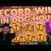 ROSHTEIN Top 3 Record Wins on The Dog House slot