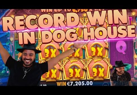 ROSHTEIN Top 3 Record Wins on The Dog House slot