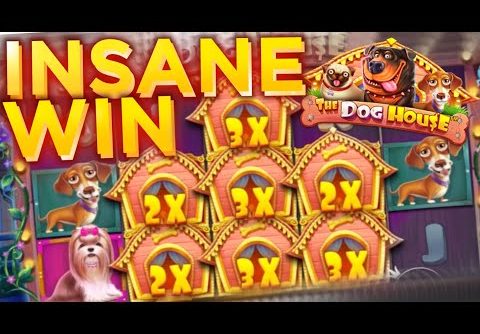 INSANE BIG RECORD WIN Dog House Pragmatic Casino Slot