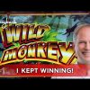 Wild Monkeys Slot – BIG WIN SESSION, LOVED IT!