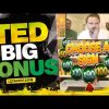 Big bonus in Ted slot machine