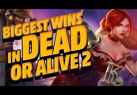 Biggest Wins in Dead or Alive 2 Slot