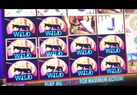 ** Super Big Win ** Coyote Moon n Others ** SLOT LOVER