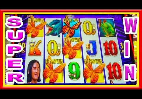 ** BIG WIN on NEW BRAZIL GOLD ** SLOT LOVER **