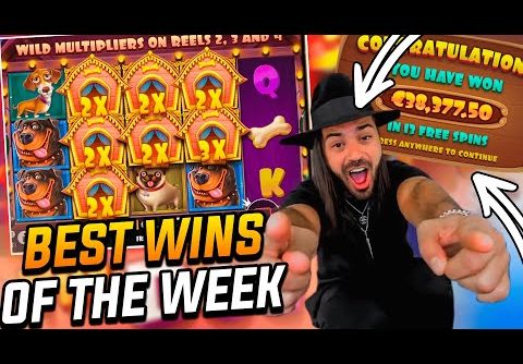 ROSHTEIN Mega win 38.000 € on The Dog House slot – TOP 5 Mega wins of the week