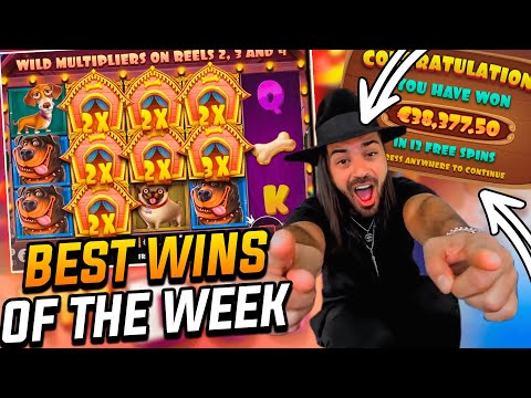 ROSHTEIN Mega win 38.000 € on The Dog House slot – TOP 5 Mega wins of the week