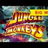 Jungle Monkeys Slot – BIG WIN BONUS!