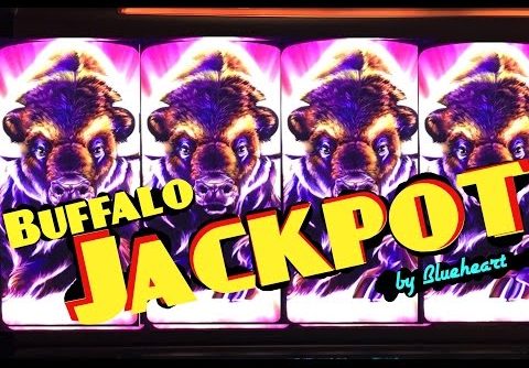 BUFFALO STAMPEDE slot machine JACKPOT HANDPAY and HUGE MEGA BIG WIN! (2 videos)