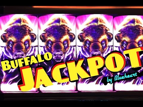 BUFFALO STAMPEDE slot machine JACKPOT HANDPAY and HUGE MEGA BIG WIN! (2 videos)