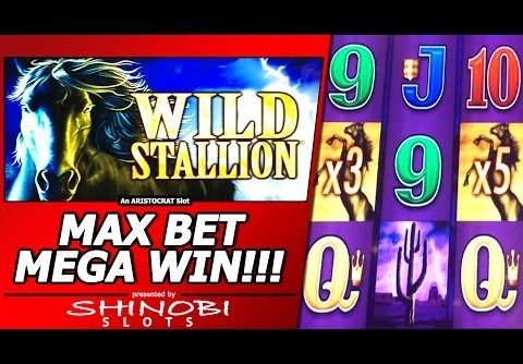 Wild Stallion Slot Bonus – Max Bet, Mega Big Win!!!  Another Big Free Spins Win on the Same Machine!