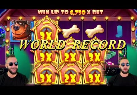 World Record Win on Dog House slot with DeuceAce