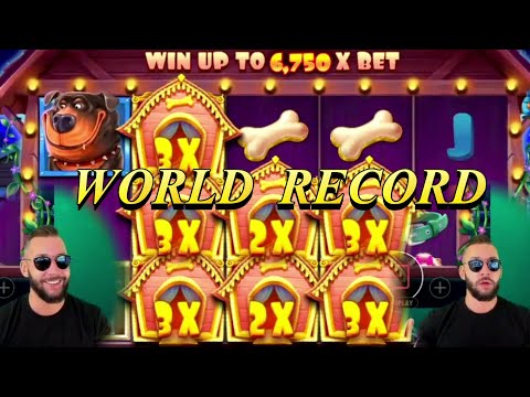 World Record Win on Dog House slot with DeuceAce