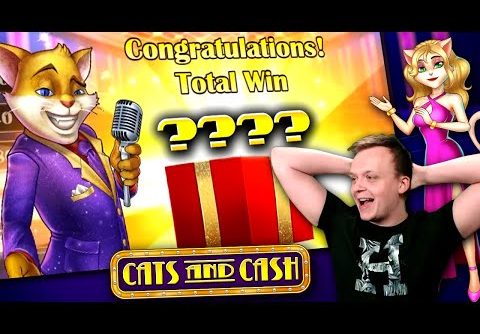 Why to play the 1-Line Strategy on Cats and Cash Slot (SUPER BIG WIN!!)