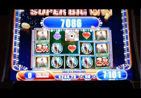 Jungle Wild III Bonus MEGA BIG WIN WMS 5¢ Slot