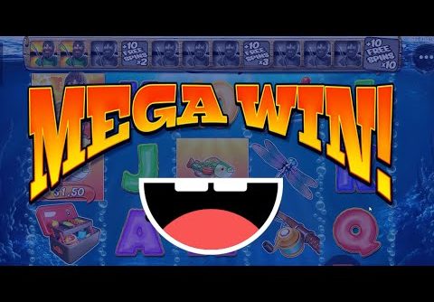 100 Spins On Slots – Big Bass Bonanza Slot MEGA WIN – Stake.com