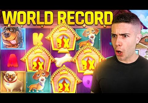 [WORLD RECORD] MASSIVE WIN ON DOG HOUSE 🐶 AyeZee Stream Highlights ft. @Yassuo