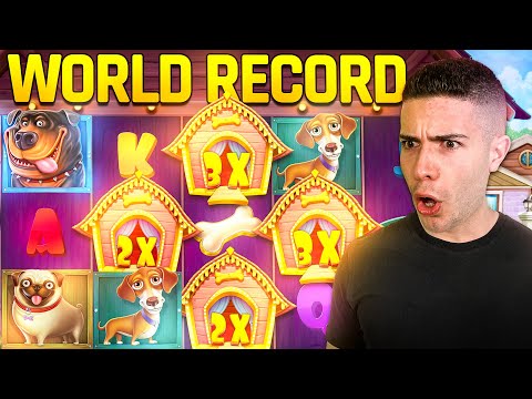 [WORLD RECORD] MASSIVE WIN ON DOG HOUSE 🐶 AyeZee Stream Highlights ft. @Yassuo