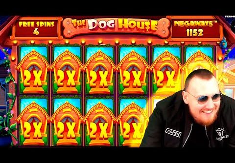 FANTASTIC HUGE MEGA WIN! Streamer Super Win on The Dog House Slot! BIGGEST WINS OF THE WEEK! #57