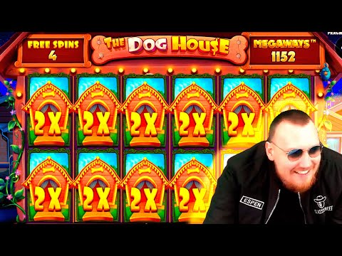 FANTASTIC HUGE MEGA WIN! Streamer Super Win on The Dog House Slot! BIGGEST WINS OF THE WEEK! #57