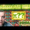 MAMMOTH WIN on PRIMAL MEGAWAYS SLOT !