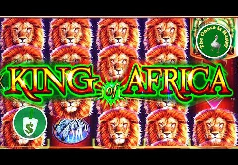 😄 King of Africa slot machine, big win bonus