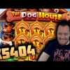 INSANE WIN! Streamer win x5500 on The Dog House Slot! BIGGEST WINS OF THE WEEK! #16