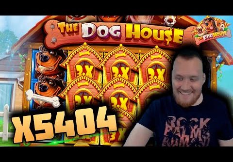 INSANE WIN! Streamer win x5500 on The Dog House Slot! BIGGEST WINS OF THE WEEK! #16