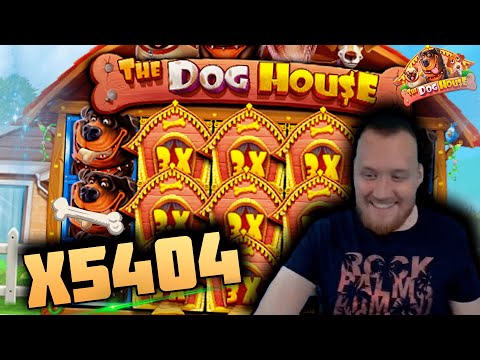 INSANE WIN! Streamer win x5500 on The Dog House Slot! BIGGEST WINS OF THE WEEK! #16