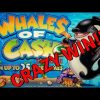 MASSIVE UNBELIEVABLE HANDPAY on WHALES OF CASH DELUXE SLOT MACHINE POKIE SEMINOLE HARD ROCK