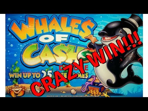 MASSIVE UNBELIEVABLE HANDPAY on WHALES OF CASH DELUXE SLOT MACHINE POKIE SEMINOLE HARD ROCK