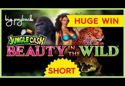 HUGE WIN! Ultra Stack Beauty in the Wild Slot! #Shorts