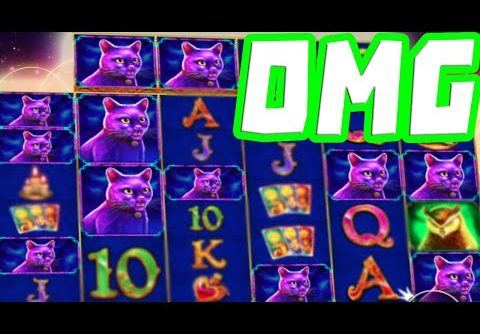 Madame Destiny Megaways 🔥 Slot MEGA BIG WIN 😱 CATS All the Way on a Huge Multiplier OMG‼️