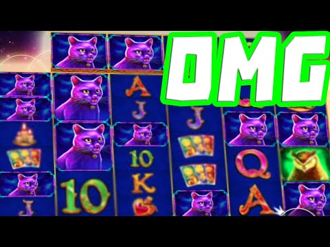 Madame Destiny Megaways 🔥 Slot MEGA BIG WIN 😱 CATS All the Way on a Huge Multiplier OMG‼️