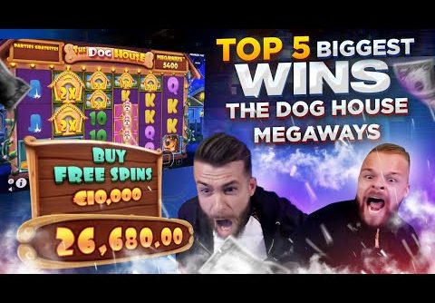 WORLD RECORD WIN €234 680 on Dog House Megaways – TOP 5 Biggest Wins