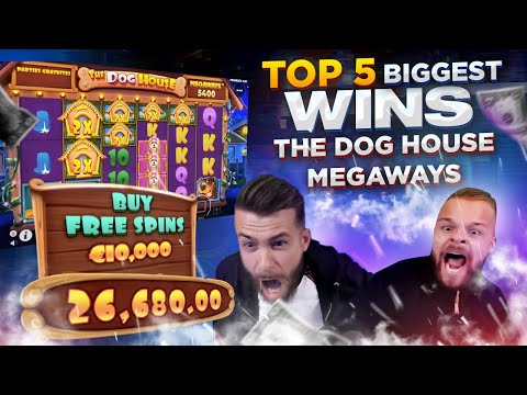 WORLD RECORD WIN €234 680 on Dog House Megaways – TOP 5 Biggest Wins