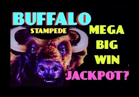 **JACKPOT?** BUFFALO STAMPEDE slot machine HUGE MEGA BIG WIN