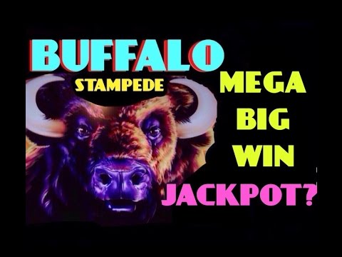 **JACKPOT?** BUFFALO STAMPEDE slot machine HUGE MEGA BIG WIN