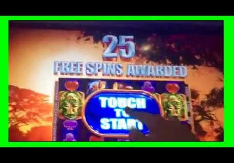 MEGA BiG WIN!!! 25 FREE SPiNS! King of Africa WMS Slot Machine bonus