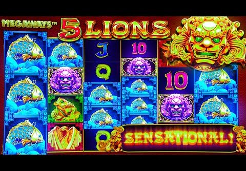 WORLD RECORD WIN on NEW 5 Lions Gold Megaways Slot?