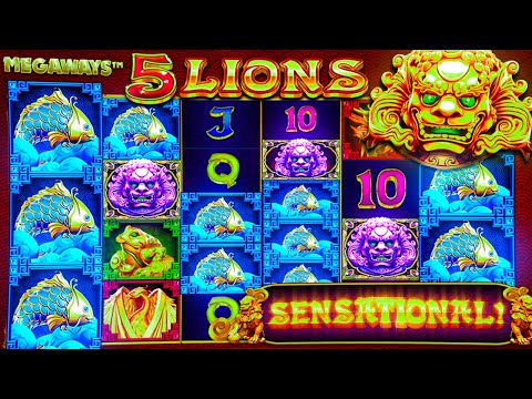 WORLD RECORD WIN on NEW 5 Lions Gold Megaways Slot?