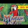 BIG WIN RETRIGGER! Macaw Magic Slot – AWESOME!