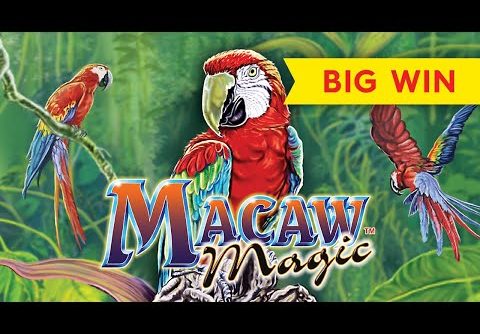 BIG WIN RETRIGGER! Macaw Magic Slot – AWESOME!