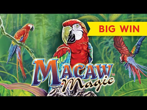 BIG WIN RETRIGGER! Macaw Magic Slot – AWESOME!