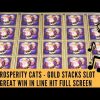 PROSPERITY CATS – GOLD STACKS SLOT – FULL SCREEN – GREAT WIN IN LINE HIT – SunFlower Slots